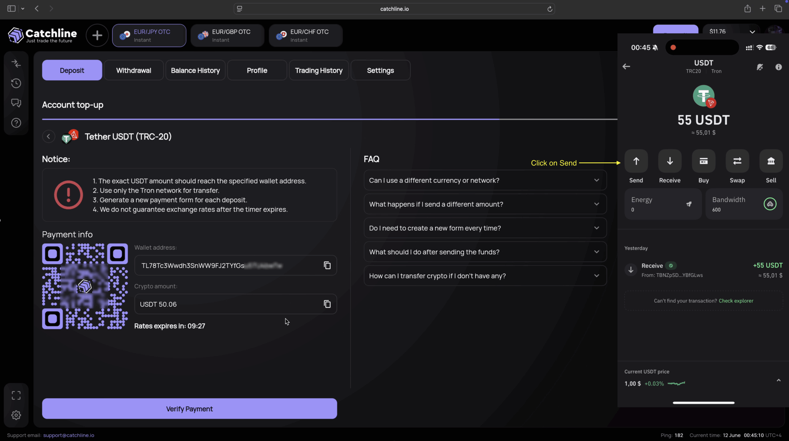 Trust Wallet send interface for Catchline deposit